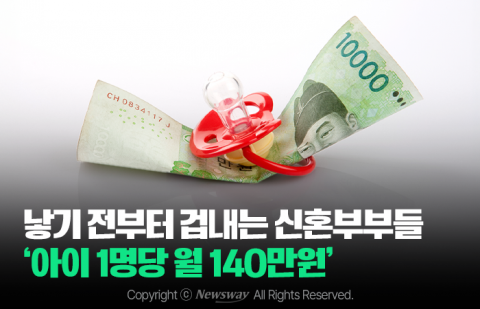 낳기 전부터 겁내는 신혼부부들 '아이 1명당 월 140만원'