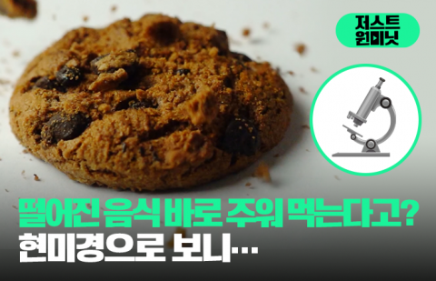 떨어진 음식 바로 주워 먹는다고? 현미경으로 보니···