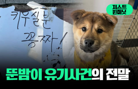 뚠밤이 유기사건의 전말