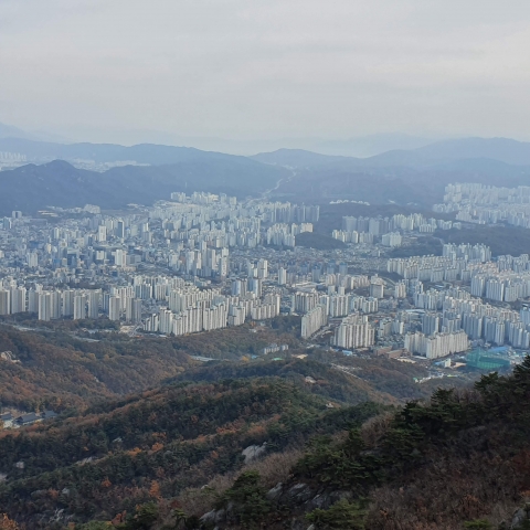 경기도 내 전세사기 당한 피해자···생계비 100만원 지원 받는다