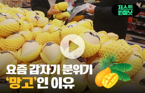 요즘 갑자기 분위기 '망고'인 이유