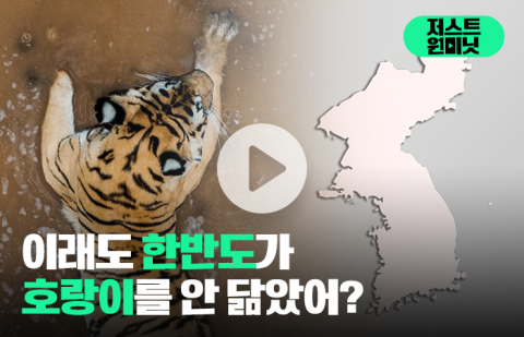 이래도 한반도가 호랑이를 안 닮았어?