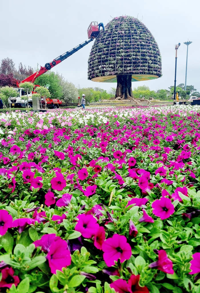 함평군이 엑스포공원 꿈나무, 희망나무 조형물에 꽃탑을 쌓고 있다.