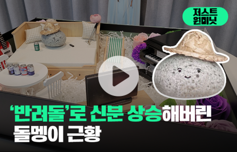 '반려돌'이 인기 있는 3가지 이유