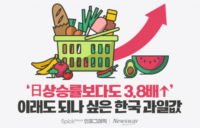 '日 상승률보다도 3.8배↑' 이래도 되나 싶은 한국 과일값