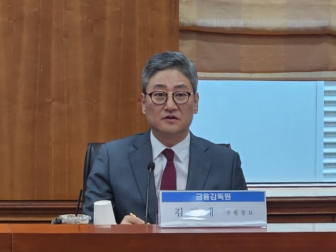 금감원, IPO 부실 상장 막는다···"실사·투자위험 공시 강화"