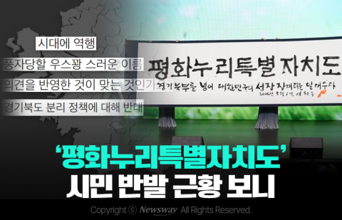 '평화누리특별자치도' 시민 반발 근황 보니