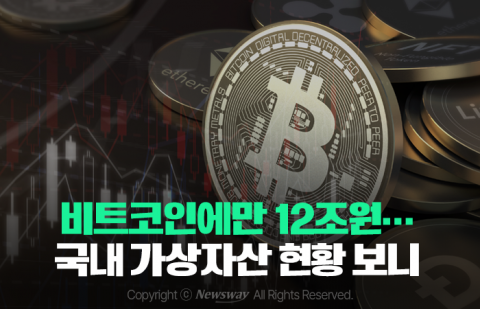 비트코인에만 12조원···국내 가상자산 현황 보니