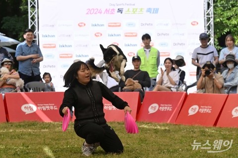 '서초 독 스포츠 축제'에서 호흡 맞추는 반려인·반려견