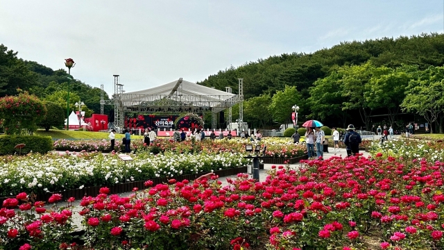 장밋빛으로 물든 울산···SK이노, '장미축제' 성황리 진행