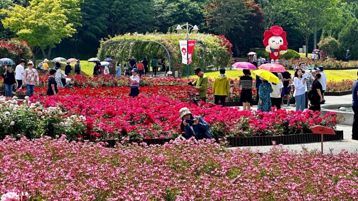 제16회 울산대공원 장미축제를 찾은 관람객들이 장미원의 포토스팟에서 사진을 촬영하고 있다. 사진=SK이노베이션 제공