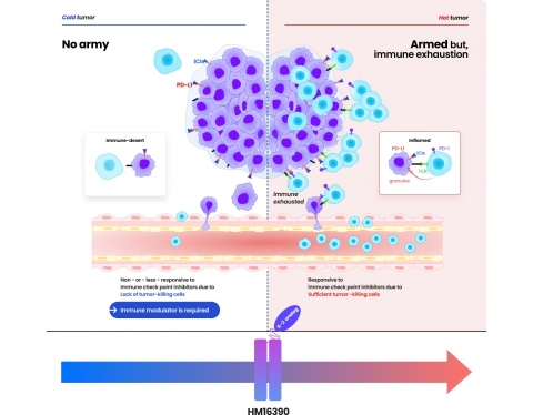 한미약품 면역항암 신약, FDA 임상 1상 IND 신청