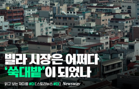 빌라 시장은 어쩌다 '쑥대밭'이 되었나