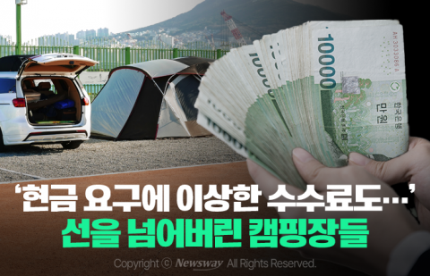 '현금 요구에 이상한 수수료도···' 선을 넘어버린 캠핑장들