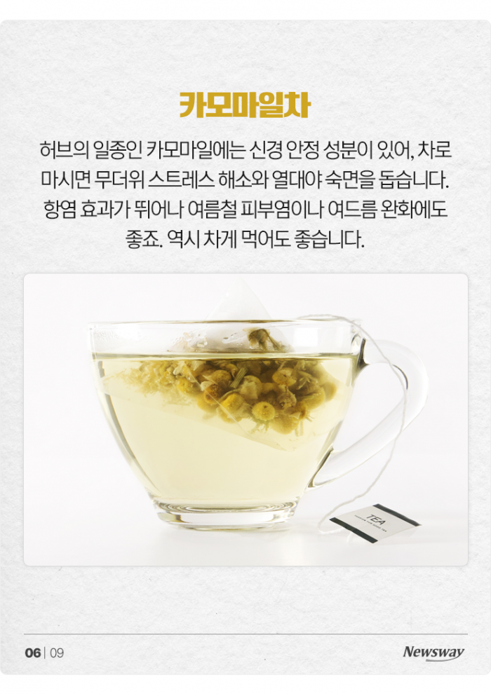 역대급 폭염 나와! '한여름에 마시면 좋은 차(茶)' 6선 기사의 사진