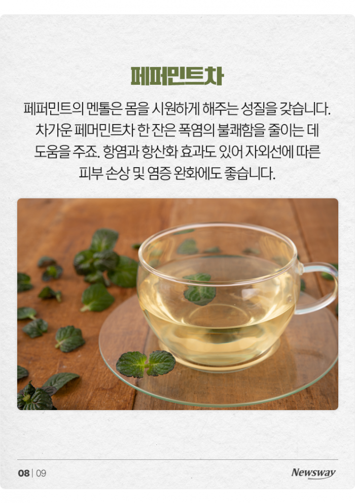 역대급 폭염 나와! '한여름에 마시면 좋은 차(茶)' 6선 기사의 사진