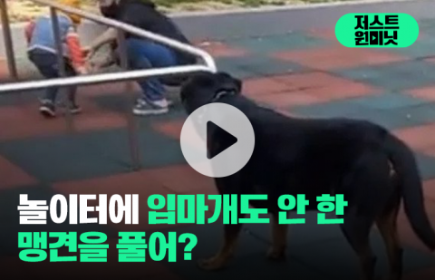 놀이터에 입마개도 안 한 맹견을 풀어?