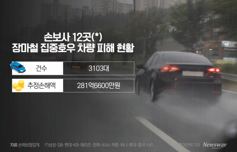 집중호우에 침수차 3천대···車보험 손해율 악화 '노심초사'