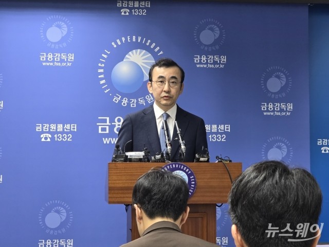 금감원 "점검체계 티몬 성장속도 못 따라갔다···카드사 협조 요청"