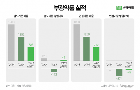 이중고 빠진 부광약품, '라투다'로 분위기 반등할까