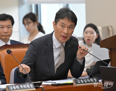 이복현 &quot;구영배 회장, 티메프 중요 의사결정에 관여&quot;