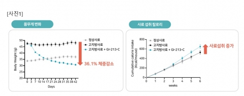 지아이이노베이션 넥스트는 '비만'···&quot;요요 없는 월 1회 투여 신약 개발&quot;