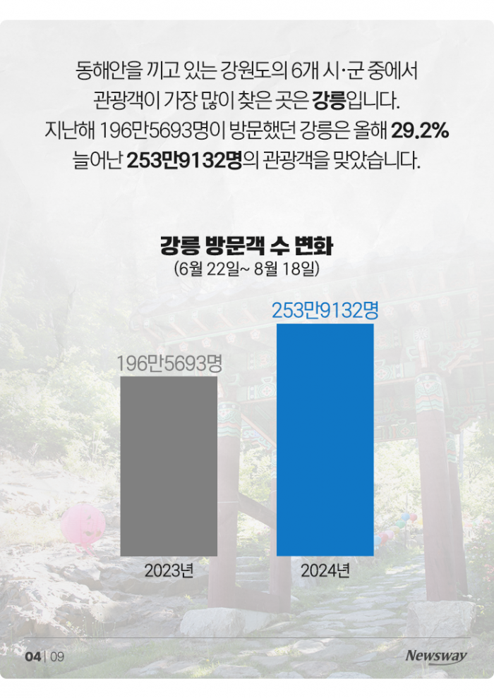 핫플이라던 양양, 알고 보니 빈 수레?! 기사의 사진