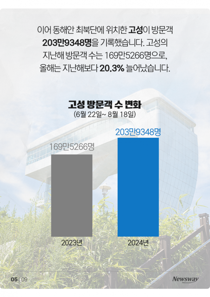 핫플이라던 양양, 알고 보니 빈 수레?! 기사의 사진