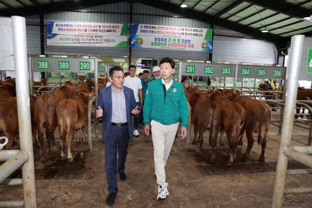 김철우 보성군수, 추석 대목장 맞아 보성축협 가축시장 방문