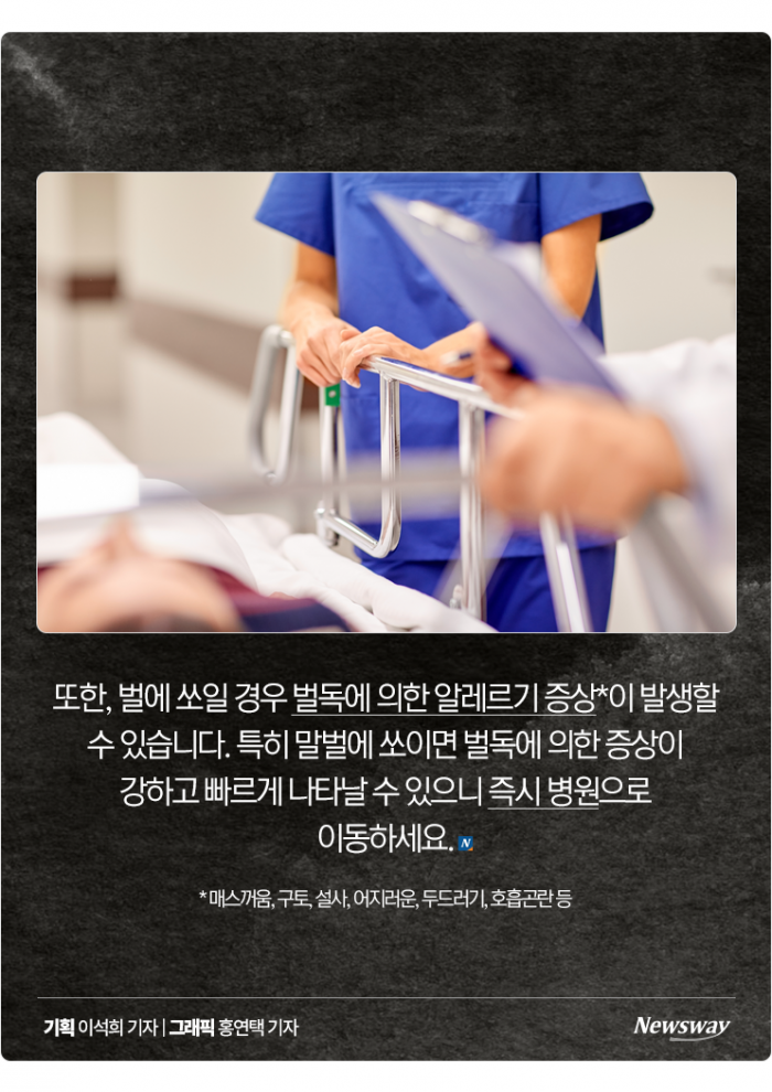 성묘·벌초 갈 때 향수 뿌리지 마세요 기사의 사진