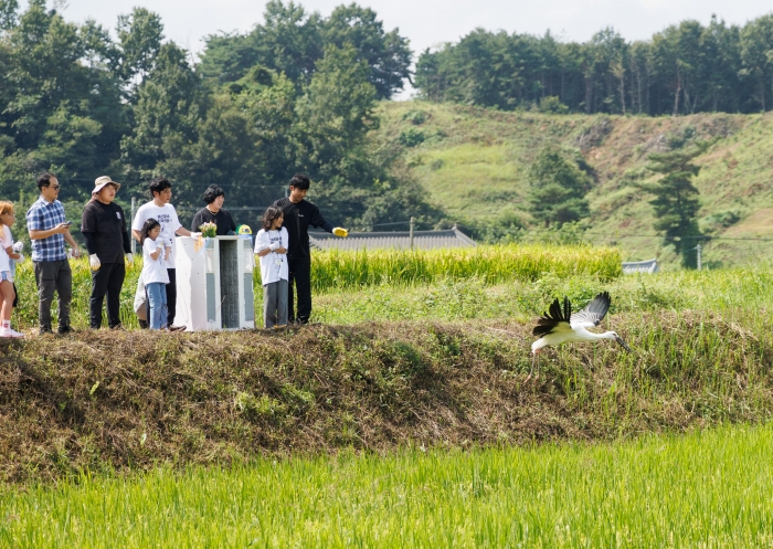 보령 임직원 및 가족들이 황새 방사 활동에 참여하고 있다. 사진=보령 제공