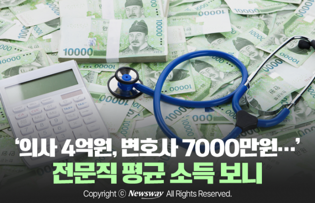 '의사 4억원, 변호사 7000만원···' 전문직 평균 소득 보니