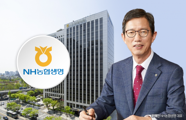 윤해진 농협생명 대표, 건전성 제고·호실적 견인···2년 임기 관행 '큰 산'