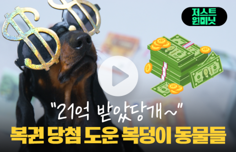 &quot;21억 받았당개&quot; 복권 당첨 도운 복덩이 동물들