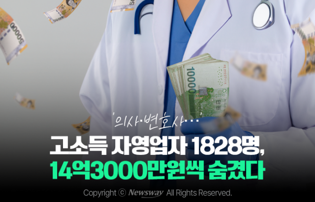 '의사·변호사···' 고소득 자영업자 1828명, 14억3000만원씩 숨겼다