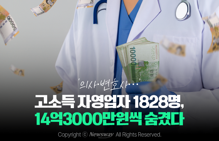 '의사·변호사···' 고소득 자영업자 1828명, 14억3000만원씩 숨겼다