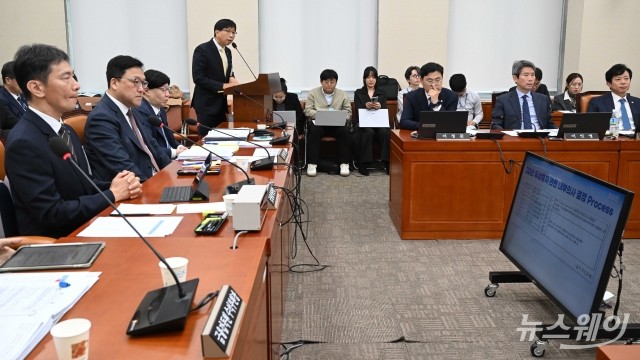 정무위 종합국감 증인대 선 강남채 KB국민은행 부행장