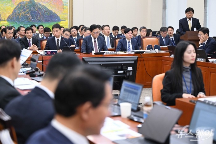 강남채 KB국민은행 부행장이 24일 오후 서울 여의도 국회 정무위원회에서 열린 금융위원회·금융감독원에 대한 2024년도 종합국정감사에서 의원의 질의에 답변하고 있다. 사진=강민석 기자 kms@newsway.co.kr