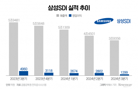 장기성장 자신한 삼성SDI, &quot;AI로 ESS 수혜 확대&quot;(종합)
