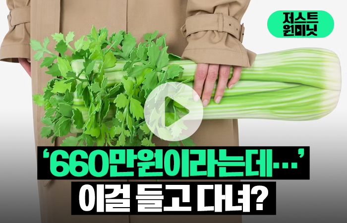 손에 든 셀러리가 '660만원짜리 명품백'이라고?