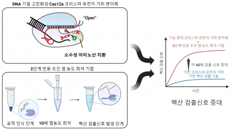 &quot;감염병 진단 대폭 향상&quot;···'크리스퍼 유전자 가위' 진단 기술 개발
