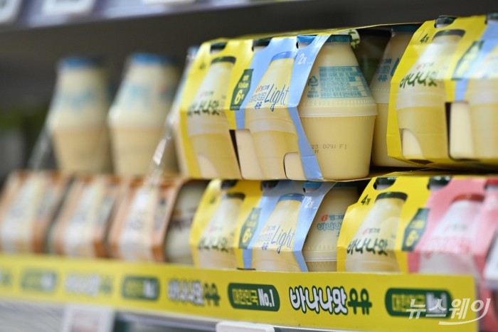 빙그레의 가공우유 제품 '바나나맛우유'와 '라이트 바나나맛우유'가 11일 오후 서울 시내의 한 대형마트에 진열되어 있다. 사진=강민석 기자 kms@newsway.co.kr