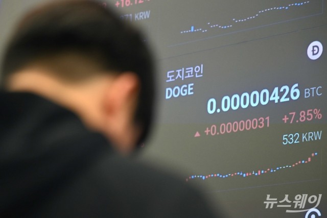 도지코인, '머스크 프리미엄' 넘어 자생력 갖출 수 있을까