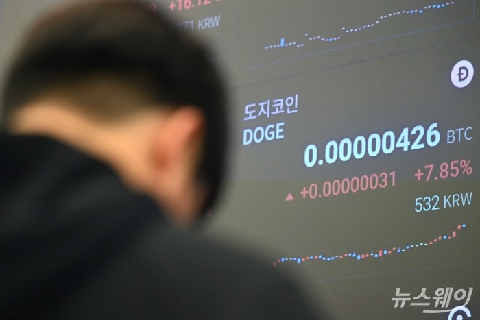 도지코인, '머스크 프리미엄' 넘어 자생력 갖출 수 있을까