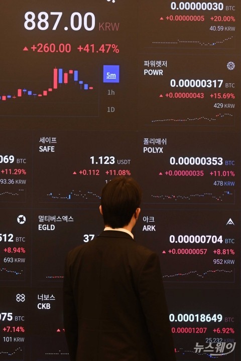 투심 오르니 알트코인도 '쑥'···시총 순위 재편 가속화