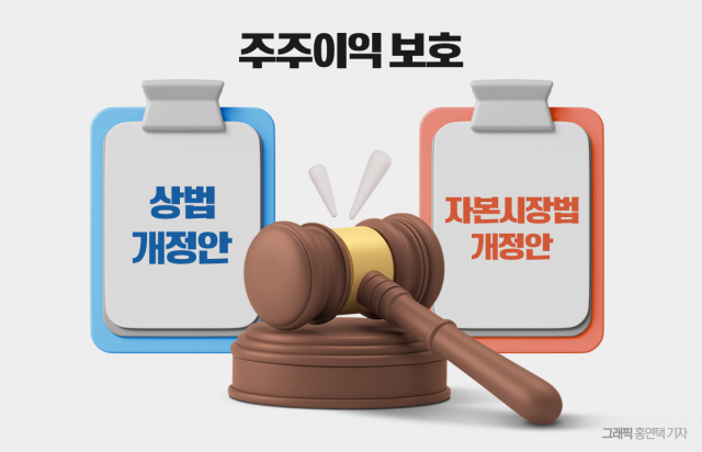 금투세 다음은 상법 개정···화력 집중하는 개미 군단