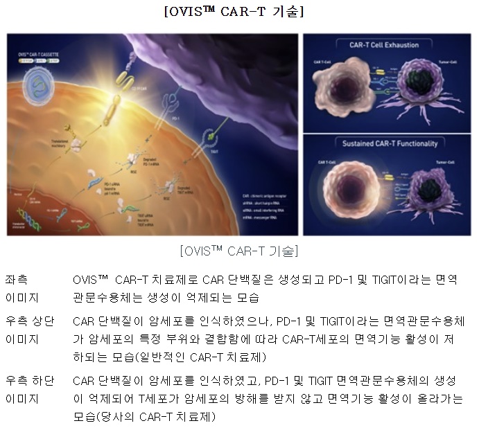 큐로셀 제공