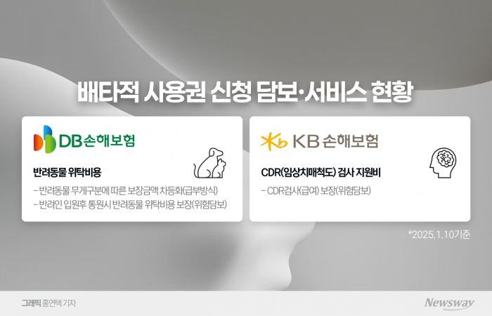 새해 초 DB손해보험, KB손해보험이 각각 펫보험, 치매보험 분야에서 차별화한 상품을 제시했다. 사진=홍연택 기자