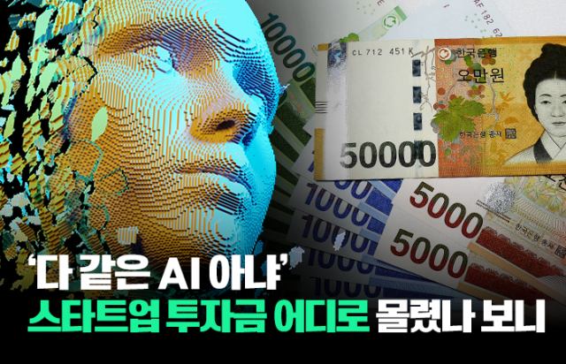 '다 같은 AI 아냐' 스타트업 투자금 어디로 몰렸나 보니