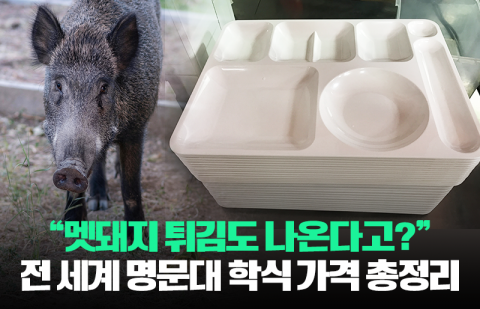 &quot;멧돼지 튀김도 나온다고?&quot; 전 세계 명문대 학식 가격 총정리